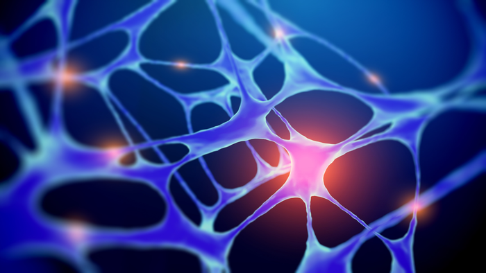 Digital Illustration Of Nerve Cell Network