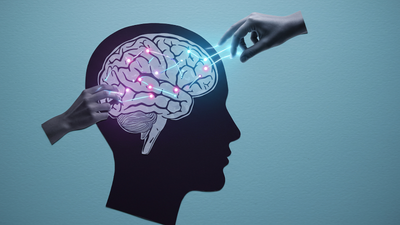 7 Foods That Support Nerve Damage + Best Nerve Supplements