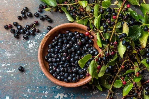 Maqui Berry: 3 Skin and Acne Benefits