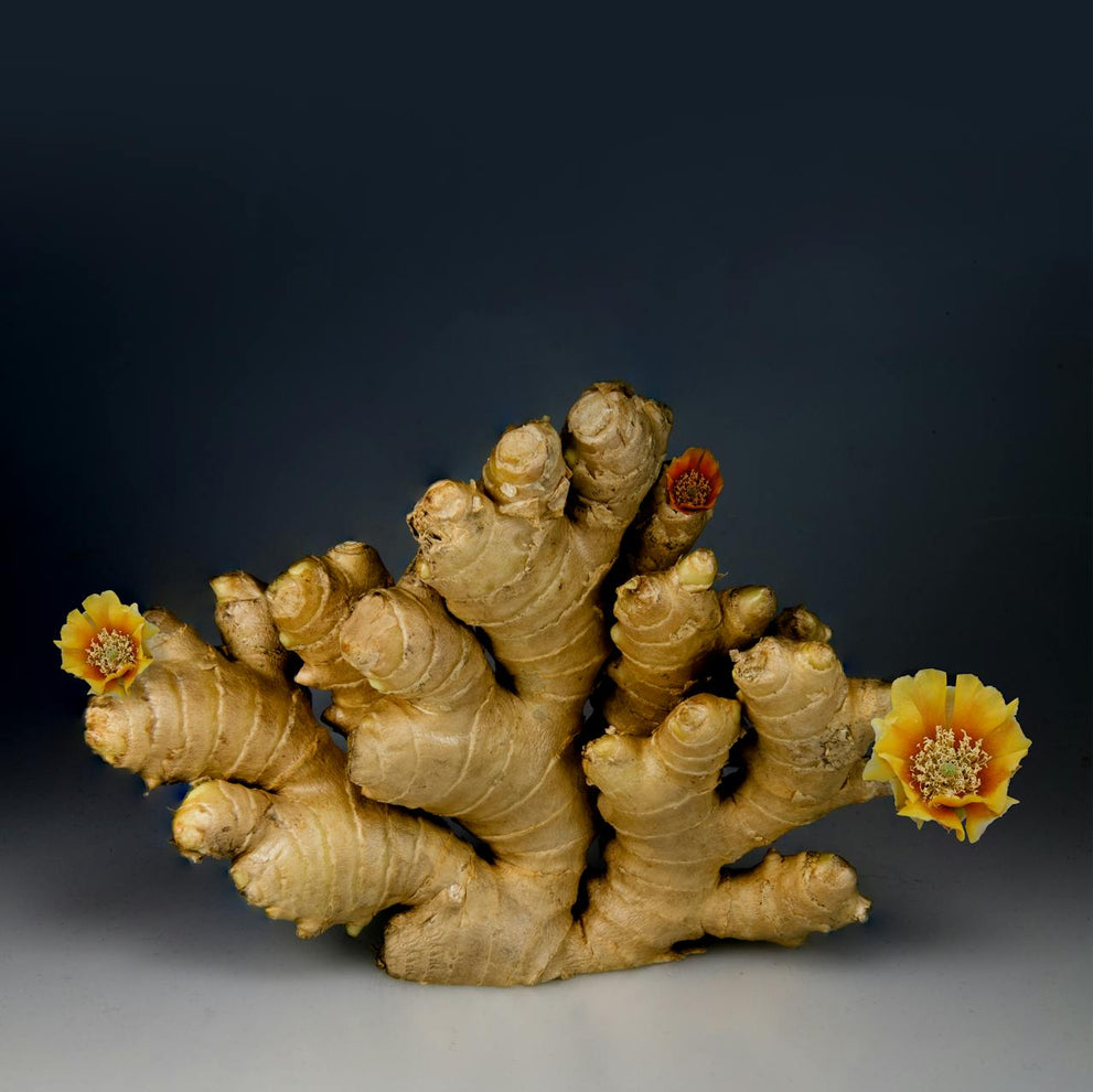 How To Use Ginger for Nausea From GLP-1 Medications