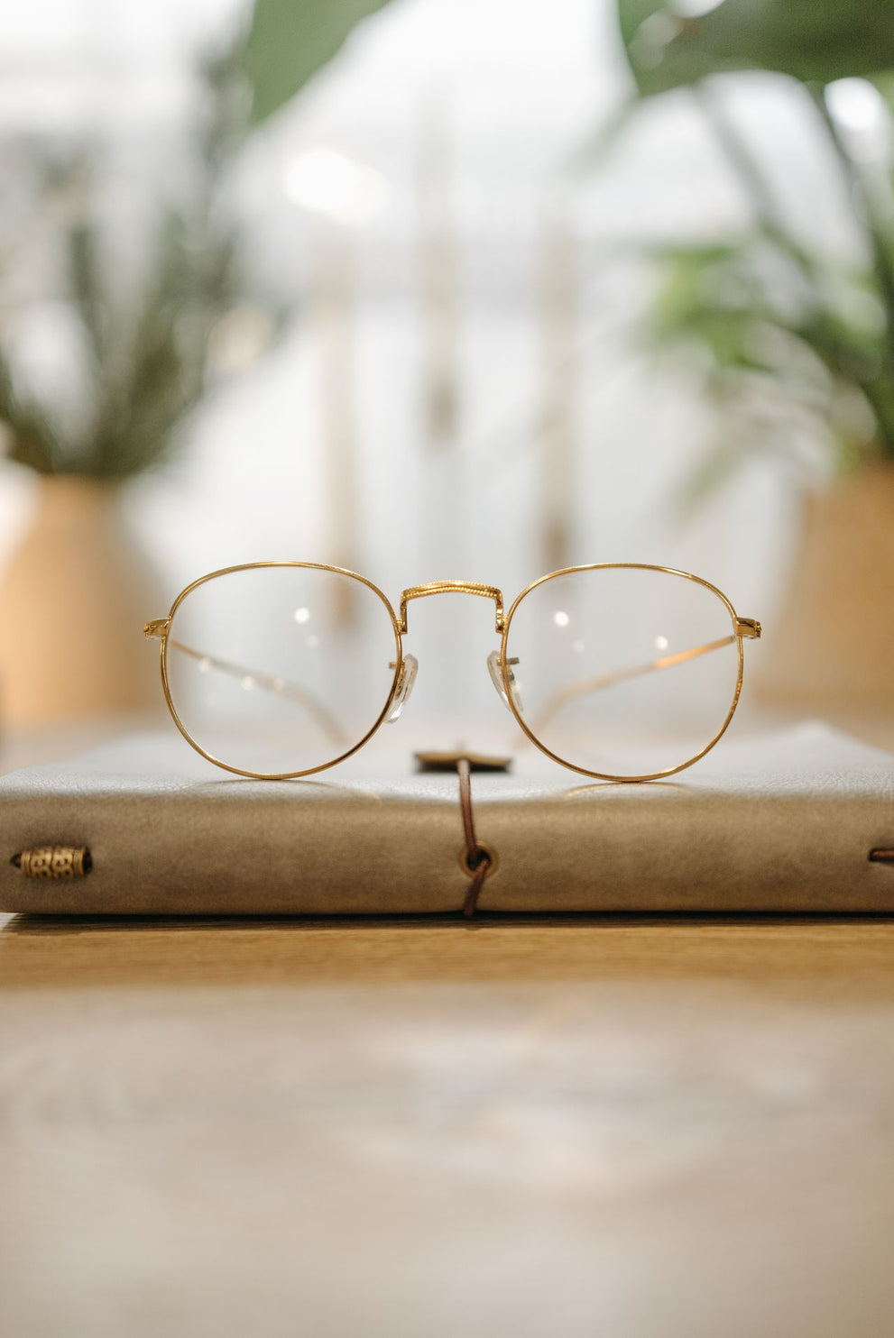 Postbiotics for Eye Health in 2026