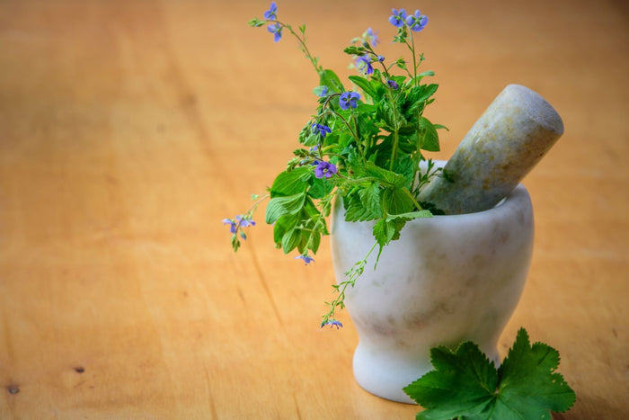 zinc for wound healing and woundvite 
