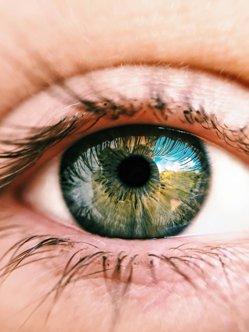 What Is the Eyemuse Eye Supplement?