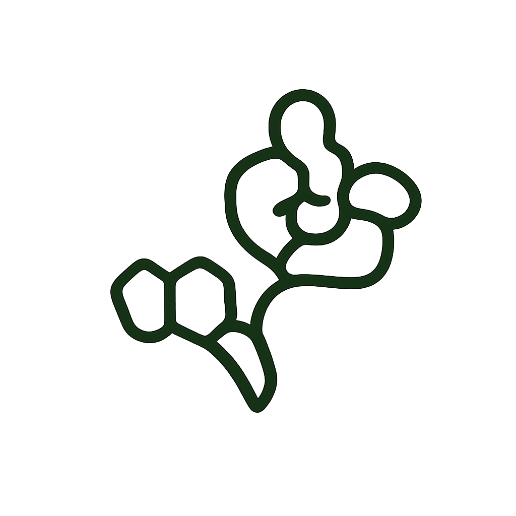 Active L-Methylfolate 15mg
