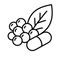 BioPerine®