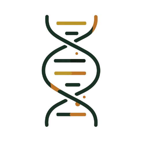 AMINO ACID SUPPORT