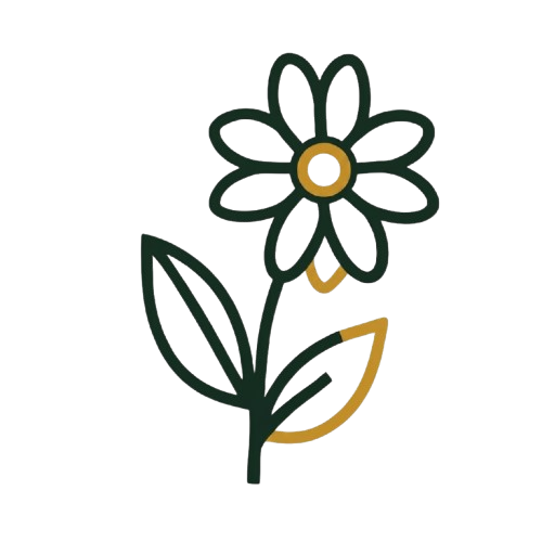 ARNICA MONTANA EXTRACT