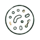 Gut + Immune Support*